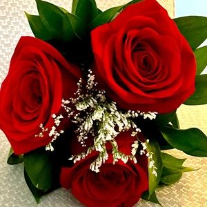 Meet your Posher, Mary